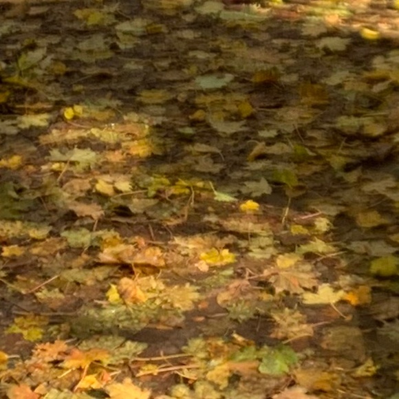 N/A - Picture 1 of 1